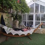 Cosentino's Nursery