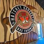 Hatchet Hangout - Axe Throwing St Pete