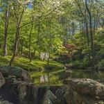 Garvan Woodland Gardens