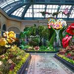 Bellagio Conservatory & Botanical Gardens