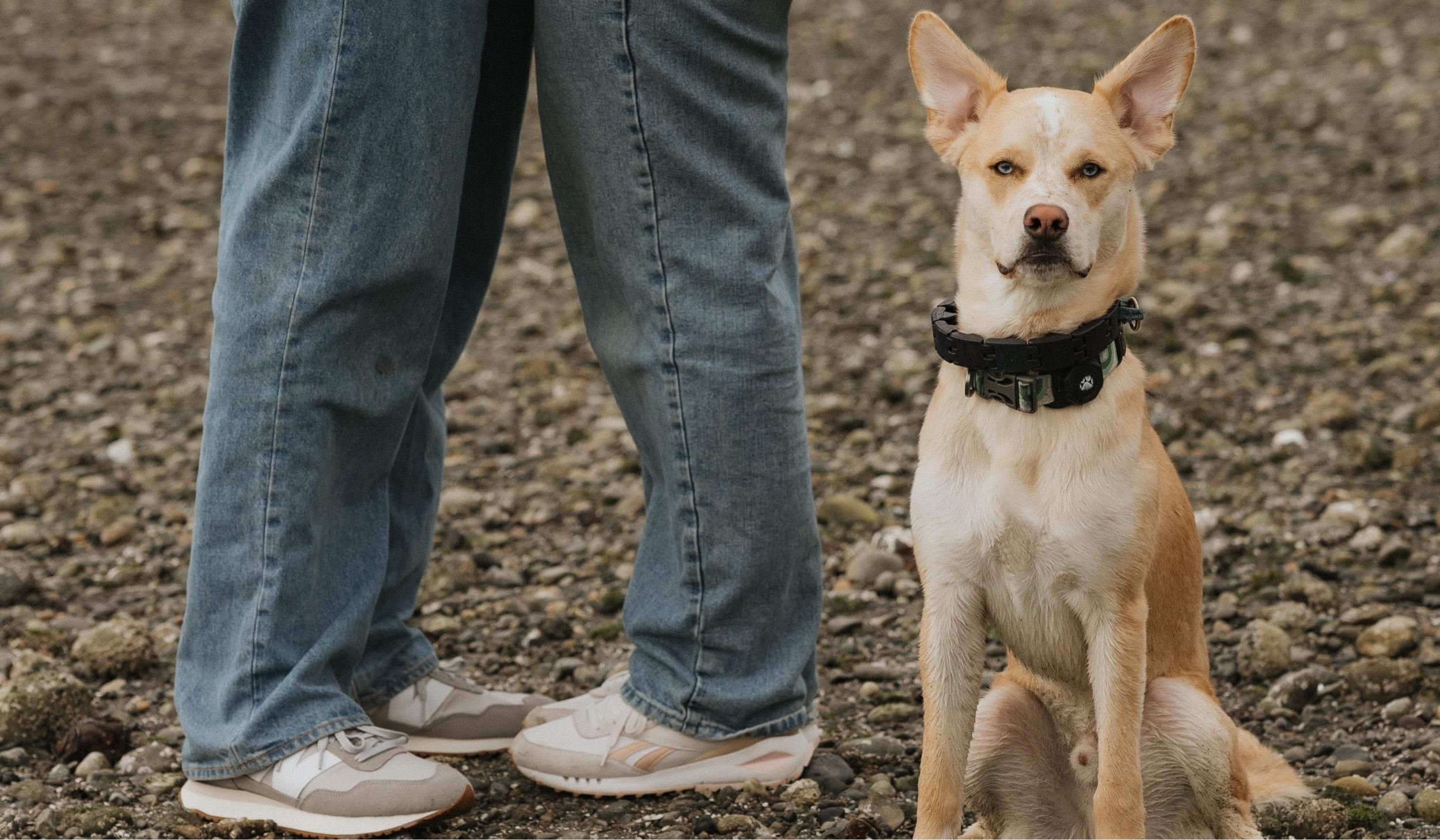 The Wedding Website of Katelyn Schuster and Nolan Landon