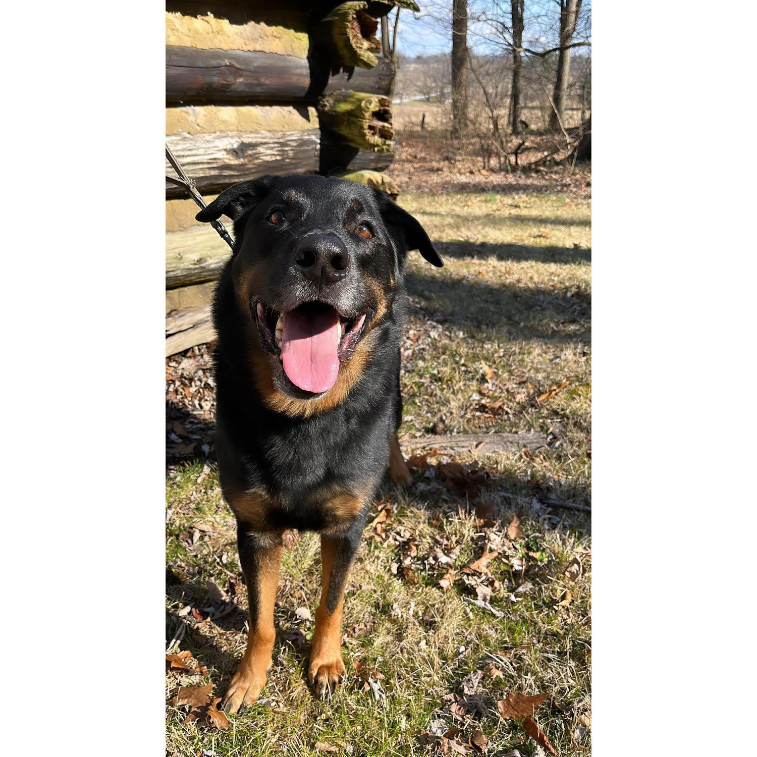 Kiko