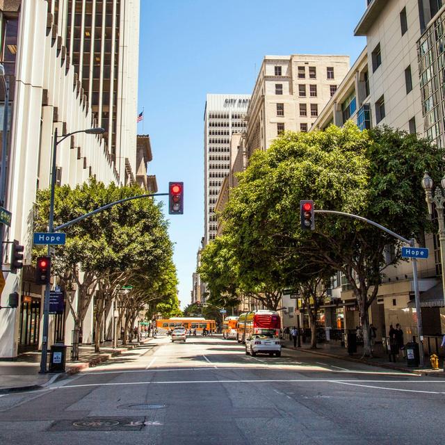 Downtown LA Food Tour by VEBO®