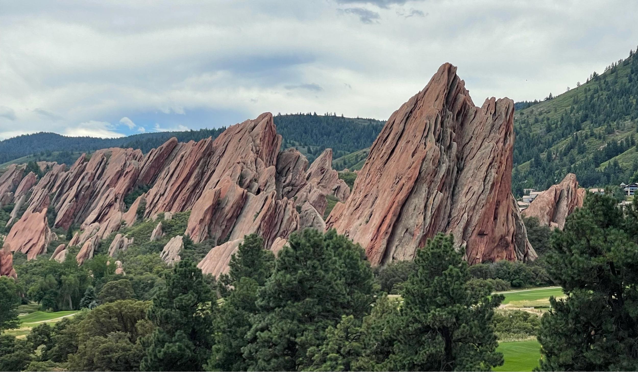 The Wedding Website of Yujia Liu and Yiding Tao