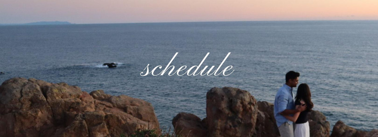The Wedding Website of Carissa Wu and Akash George
