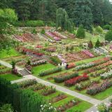 International Rose Test Garden