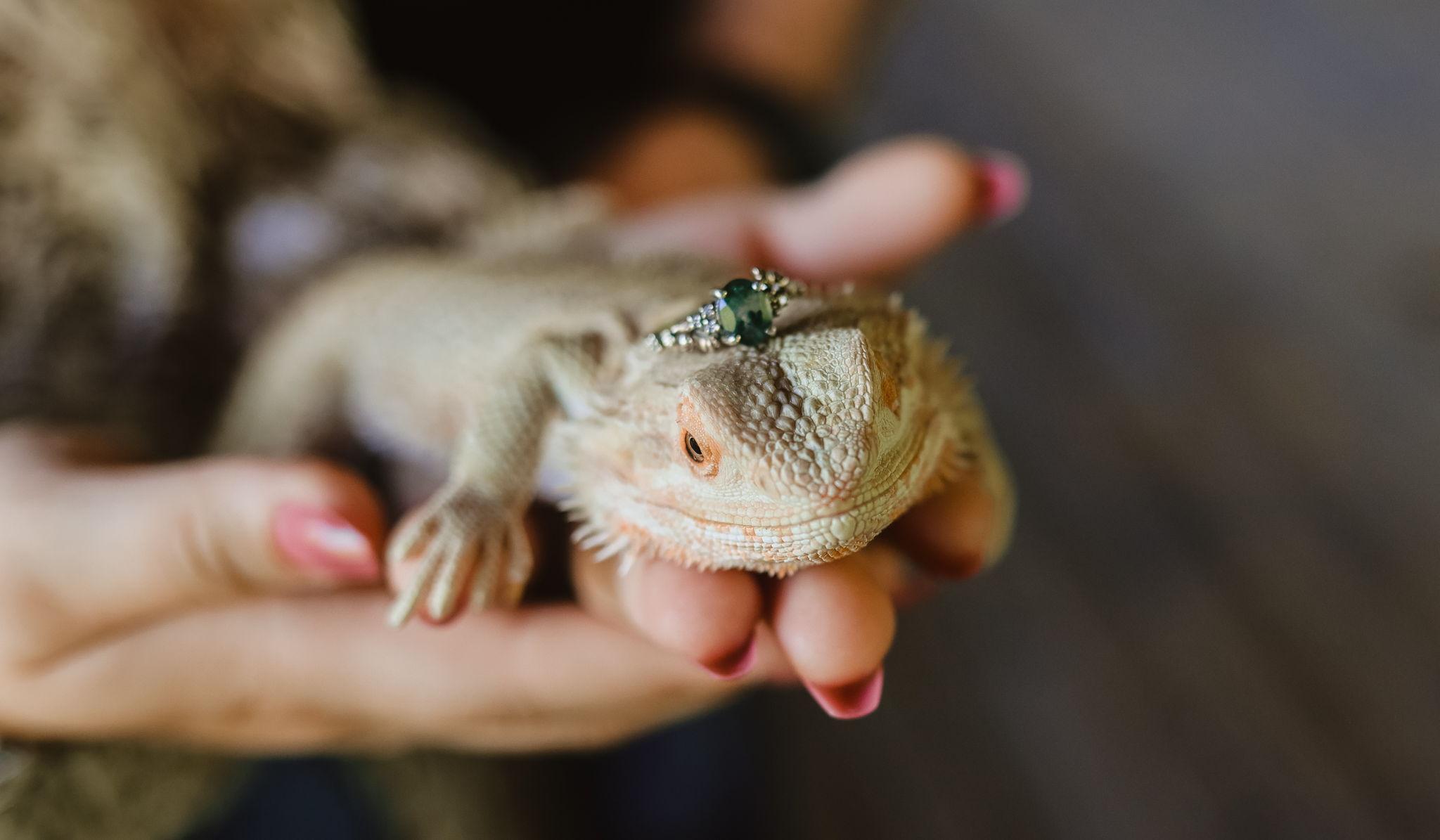 Hero Slideshow Image 3