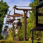 Zoologico Guadalajara