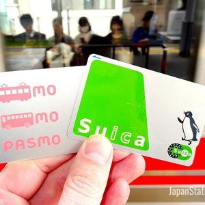 Suica Pass [21 Days]