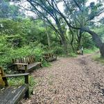 Indian Shell Mound Park