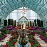 Como Park Zoo & Conservatory