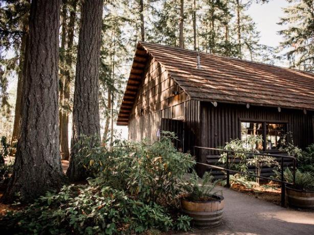 The Wedding Website of Jenni Husby and Josh Montoya
