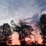 The Skyline Drive-In