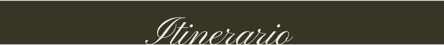 The Wedding Website of Macarena Duharte and Augusto Figari