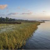Apalachicola