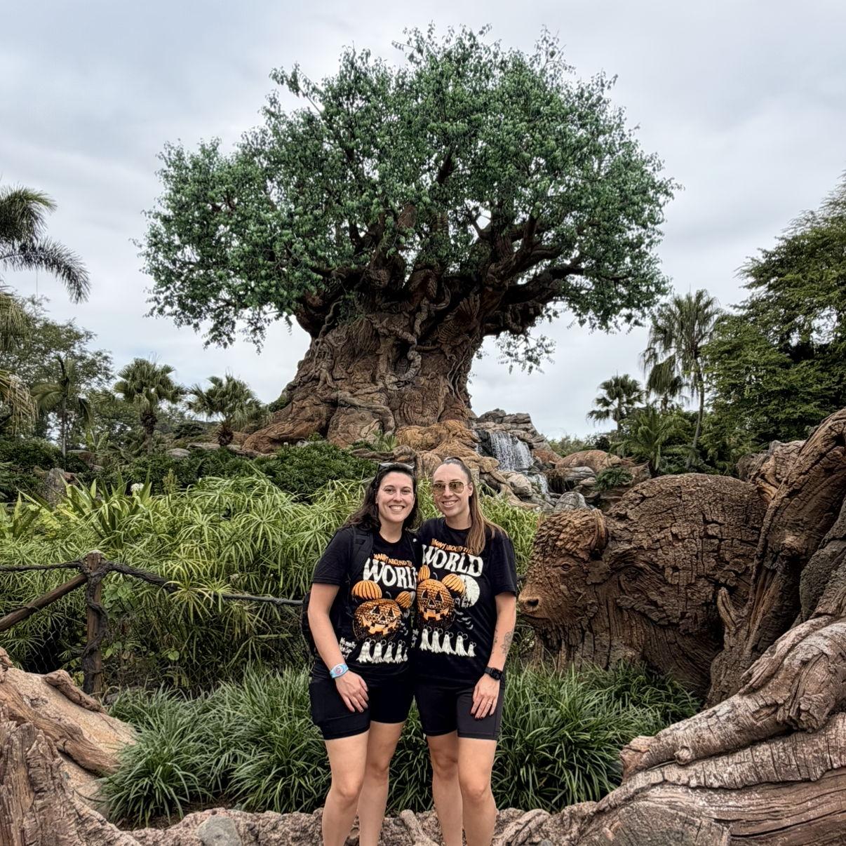 October 2025 - Animal Kingdom