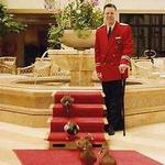 The Historic Peabody Memphis Hotel