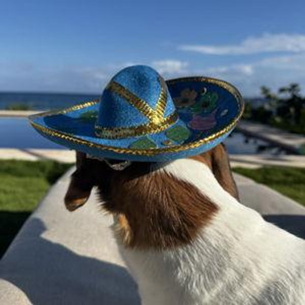 Honeymoon Adventure