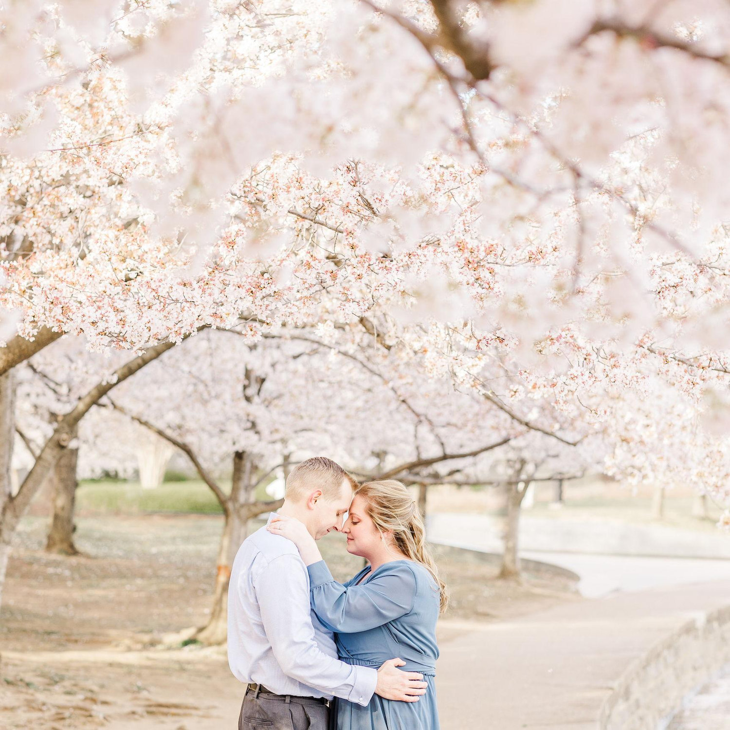 March 2022: Washington, D.C. Cherry Blossoms