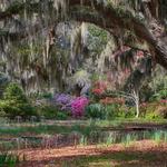 Brookgreen Gardens