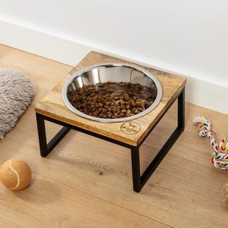 Hearth & Haven Elevated Single Feeder