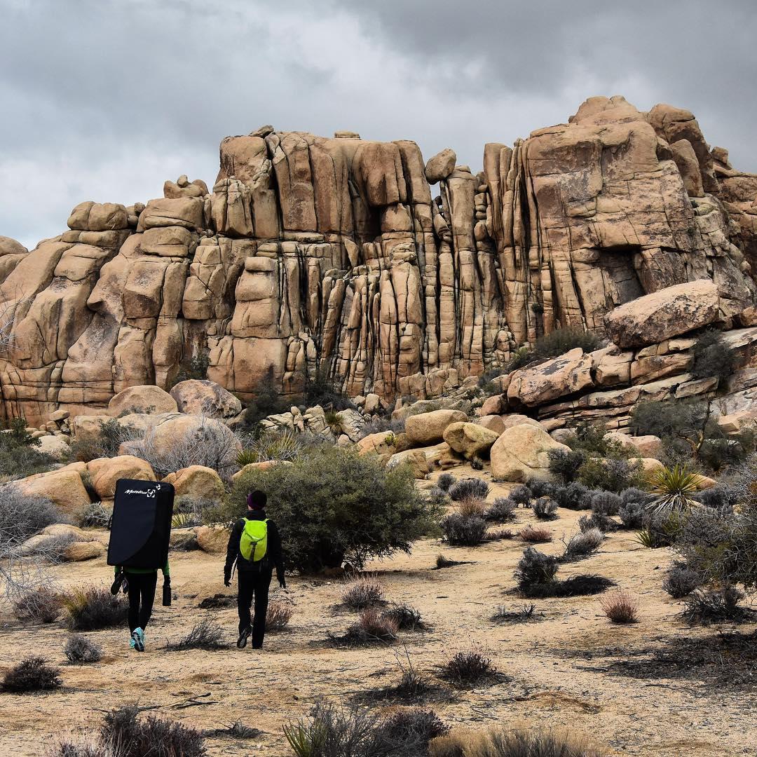 Joshua Tree National Park