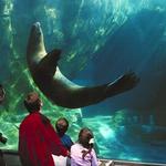 Sea Life Center