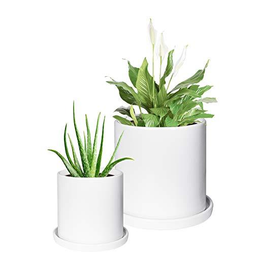 TIMEYARD Plant Pots Indoor, Modern Planters with Drainage Hole and Tray, Matte White Ceramic Cylinder Planters, 4in 6in for Flowers, Succulents, Mid Century Home Garden Decor, Set of 2