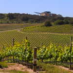 Presqu'ile Winery