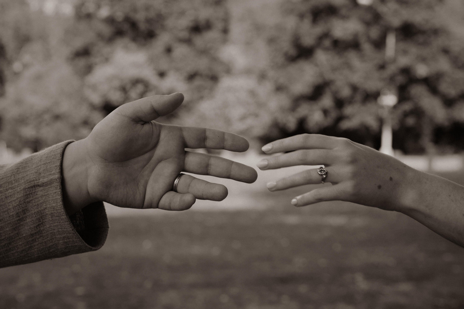 The Wedding Website of Alissa Bush and Danny Dressel