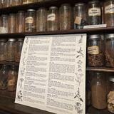 New Orleans Pharmacy Museum