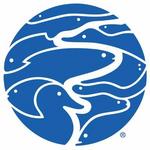 Tennessee Aquarium