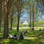 Picnic @ Boschendal