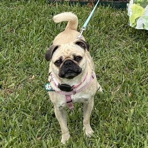 Polly's Vacation Fund (for our honeymoon)