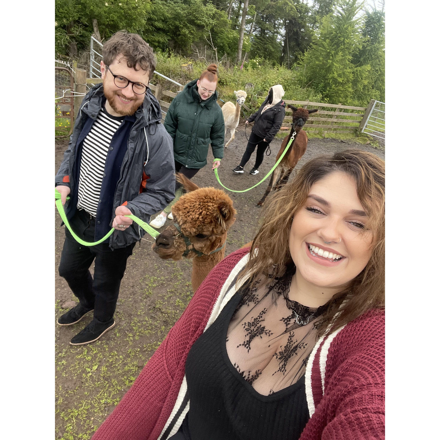 This is us walking an alpaca called Toby on a farm west of Glasgow. We loved him. He is now our first born child.