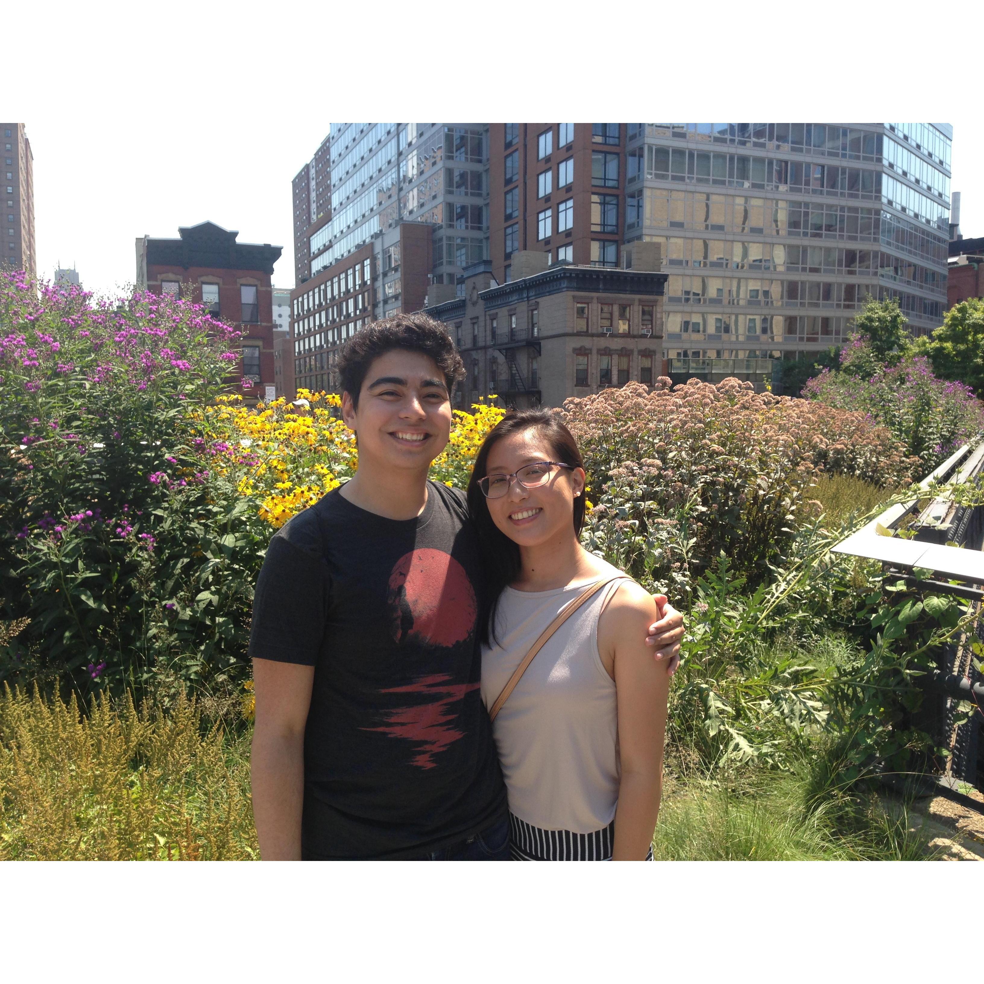 Summer at the High Line August 2015