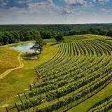 Montaluce Winery & Restaurant