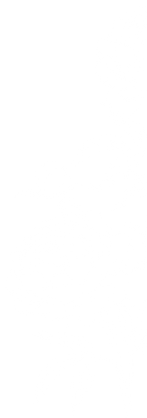 peonies