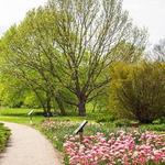University of Kentucky Arboretum