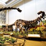 Carnegie Museum of Natural History