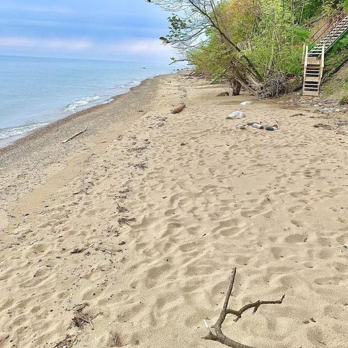 Images of the cabin & property surrounding it