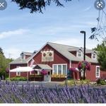 E.Z. Orchards Farm Market