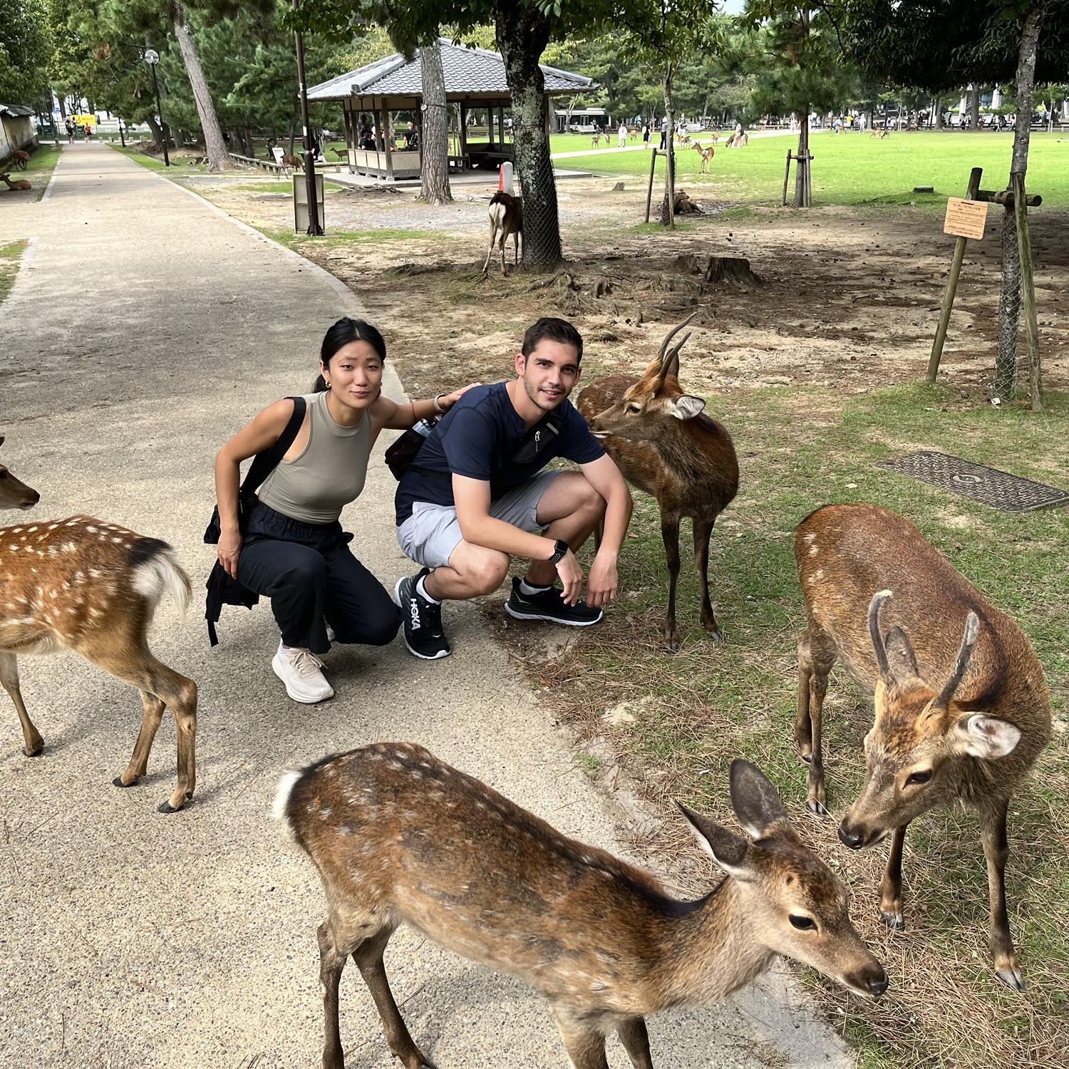 Favorite country—Japan (this is in Nara Park)