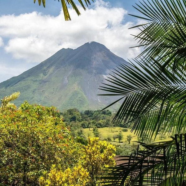 Honeymoon in Costa Rica