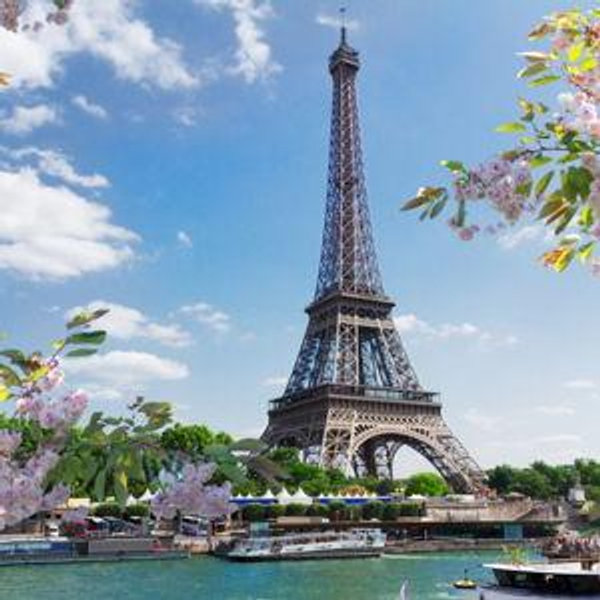 Paris Honeymoon Fund