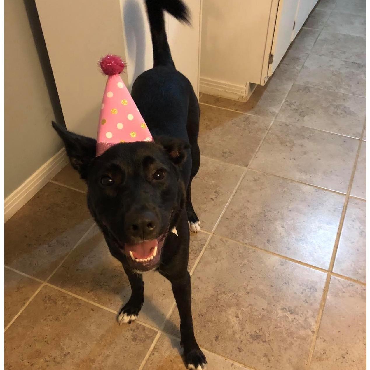 6. 9. 18
Emma's 1st birthday.