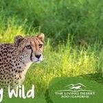 The Living Desert Zoo and Gardens