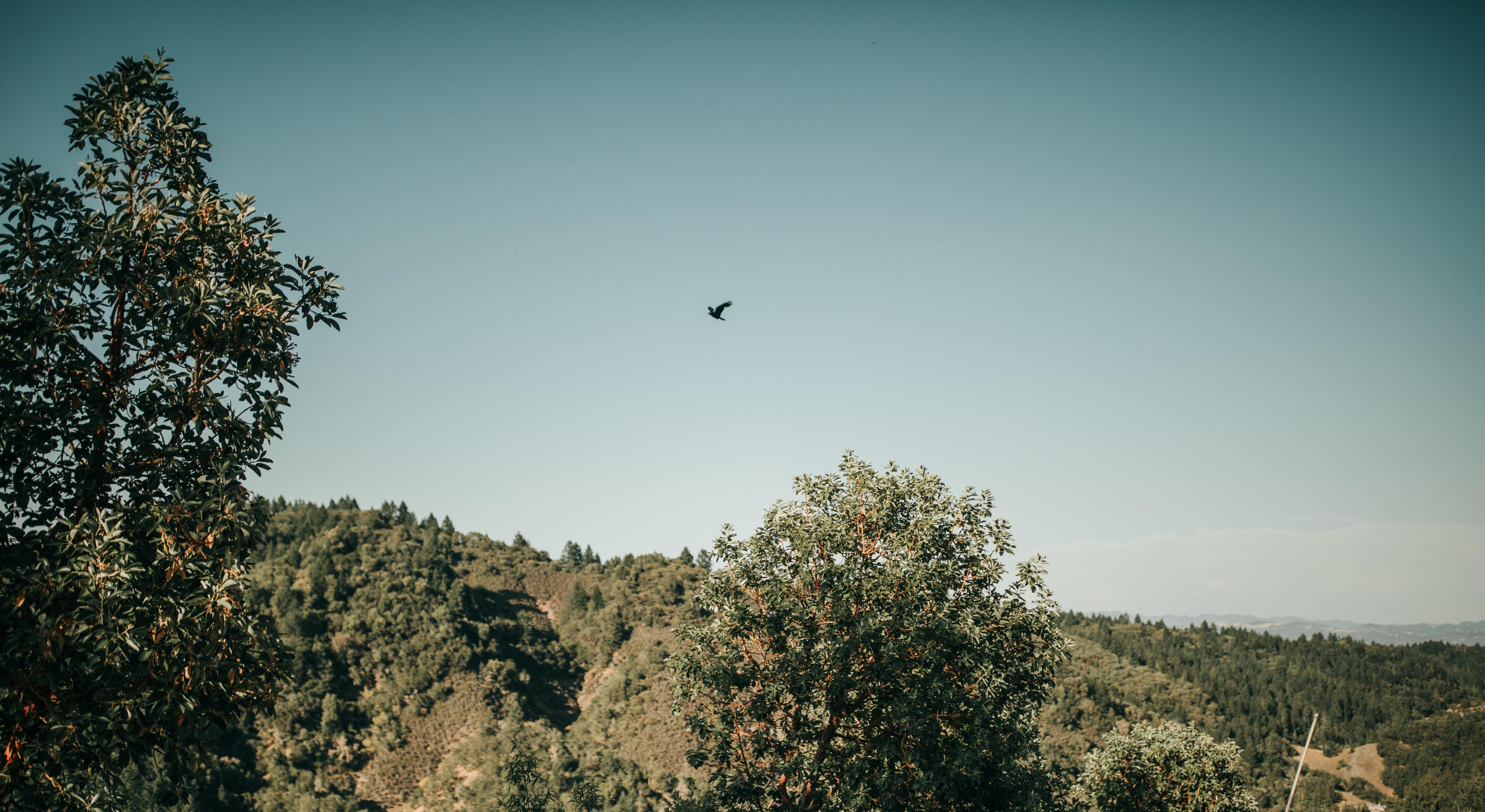 Footer image