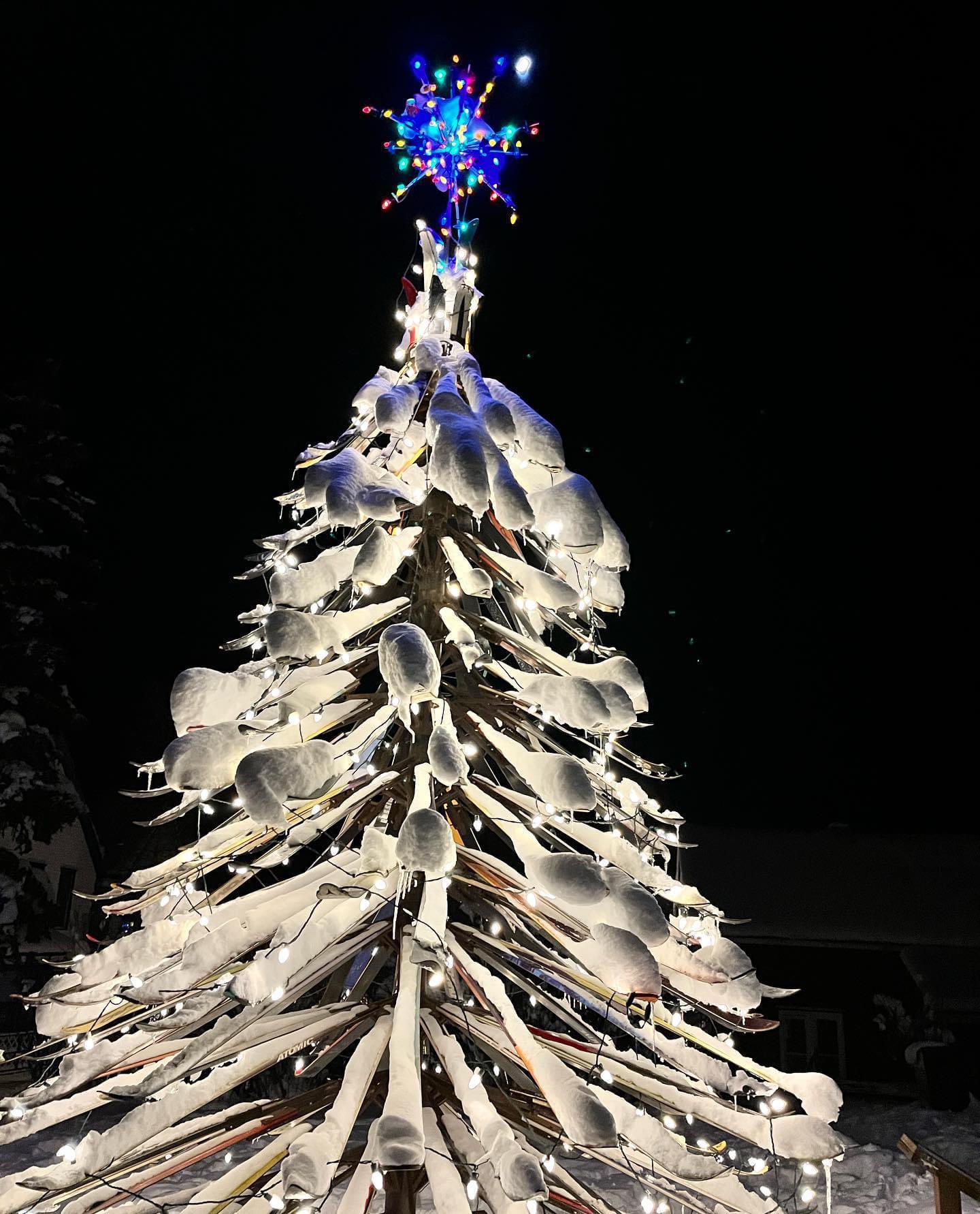 The tree in Telluride Colorado that he proposed in front of.