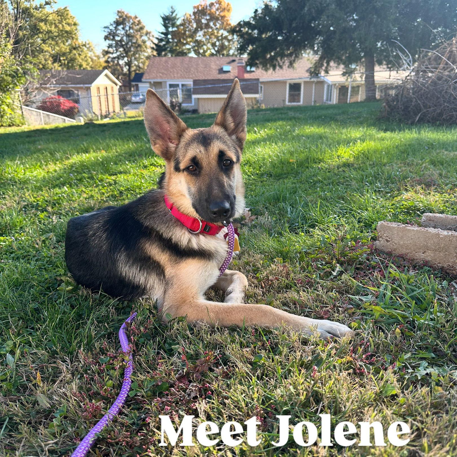Nov 2024- We added Jolene to our family